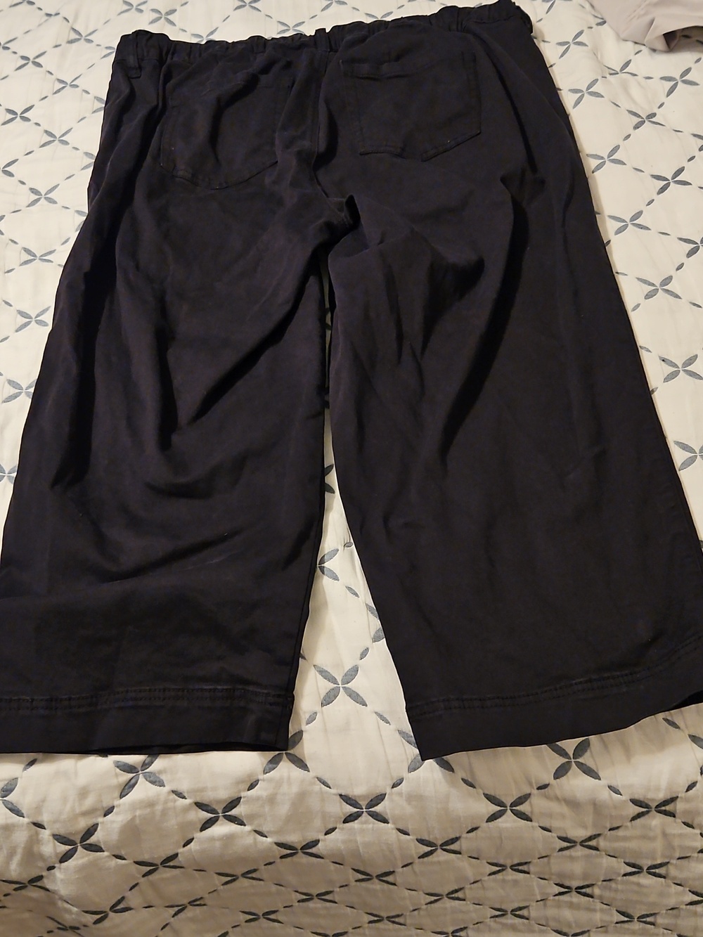 Torrid Pants - Picture 4 of 4